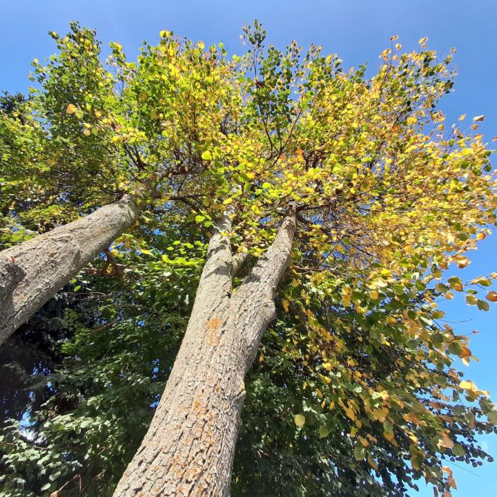 Гороскоп на 26 октября 2023: Звезды Овнам советуют не торопиться