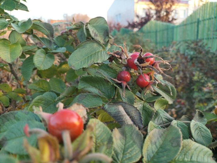 Гороскоп на 6 ноября: Раки получат новые возможности, а Весы — проблемы в личной жизни