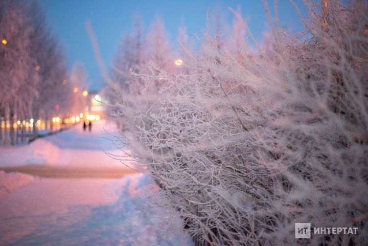 Гороскоп на 1 января: Козерогам стоит посвятить день отдыху, Львам нужно быть внимательными к любым знакомствам
