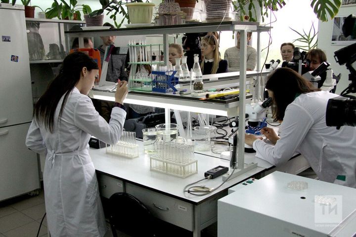 В одной из школ Татарстана  обнаружили  нарушения национального проекта «Образование»
