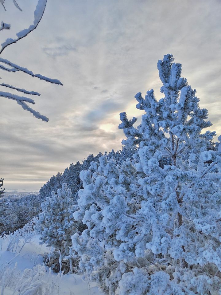 Гороскоп на 18 февраля 2023 года