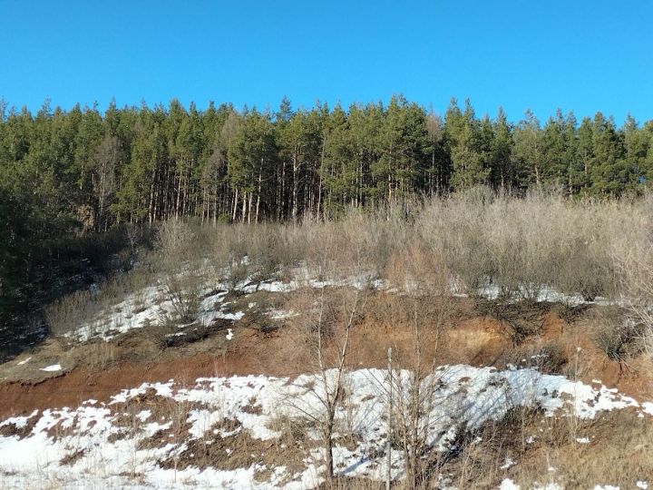 В воскресенье в Кукморском районе ожидается до -9 градусов мороза