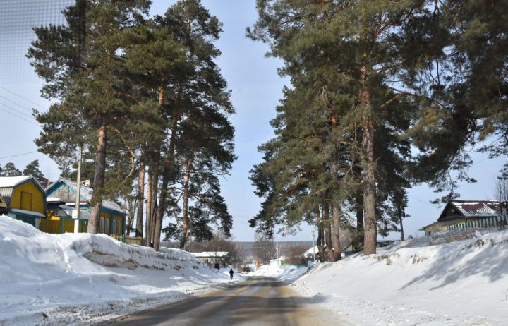 В субботу в Кукморском районе потеплеет до +1 градуса