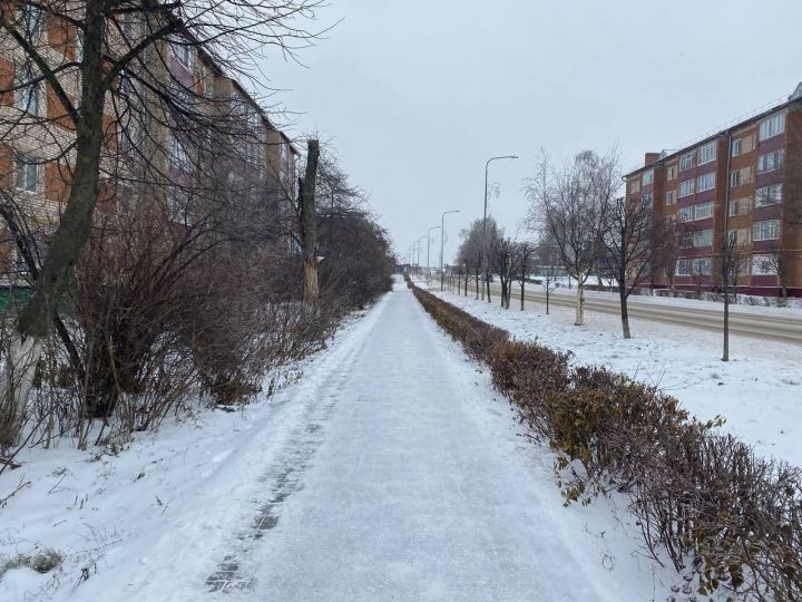 В Кукморском районе ожидается мокрый снег, сильный ветер и до +1 градуса