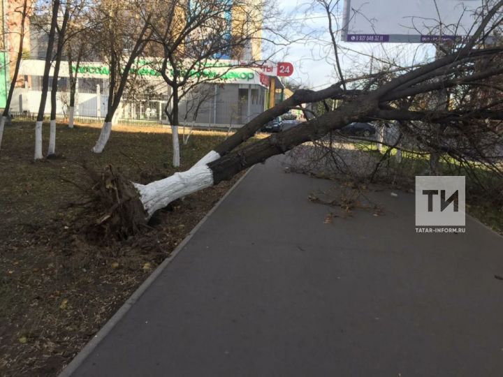 Кичә Татарстанда  көчле җил аркасында булган зыян турында сөйләделәр