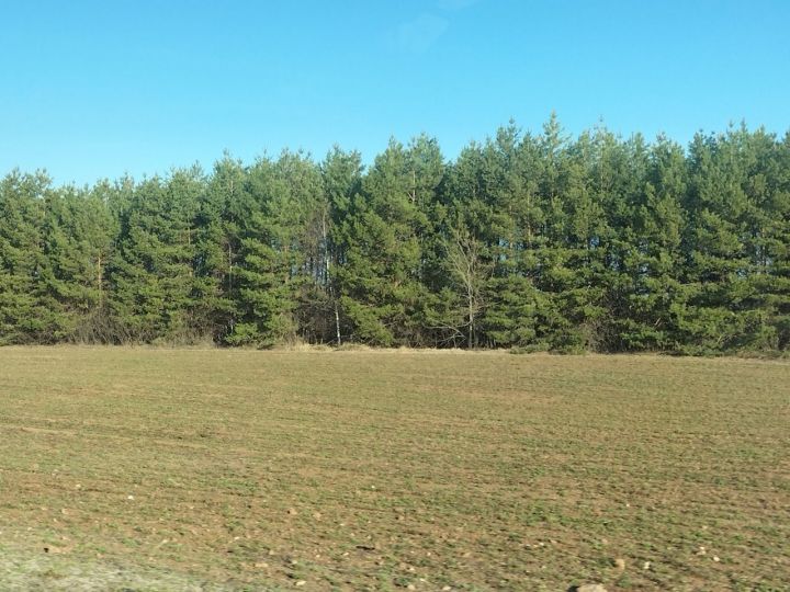 В воскресенье в Кукморском районе ожидается до +13 градусов тепла