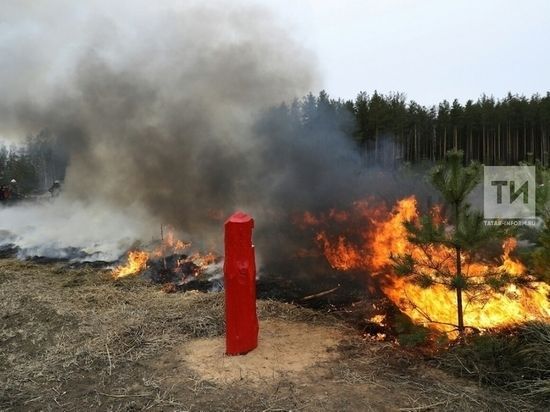 Татарстан Рәисе районнарга янгыннар белән бәйле вәзгыятне катгый контрольдә тотарга кушты