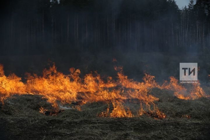 Татарстанда 17 апрельдән янгынга каршы махсус режим кертелә