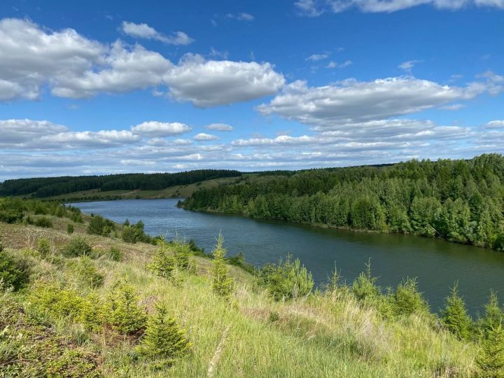 В субботу в Кукморском районе ожидается теплая погода