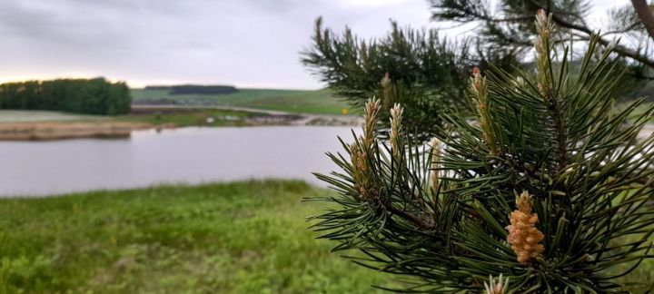 В Кукморском районе ожидаются кратковременные дожди, грозы и до ..+26˚