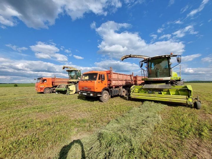 В хозяйствах Кукморского района идет заготовка кормов для скота