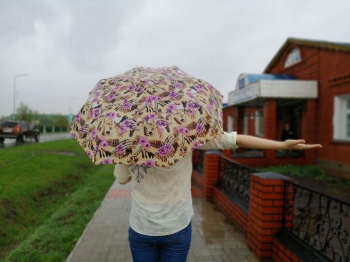 В Кукморском районе ожидается дождь, гроза, град и сильный ветер