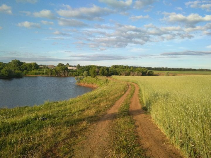 В Кукморском районе ожидается до +31 градуса