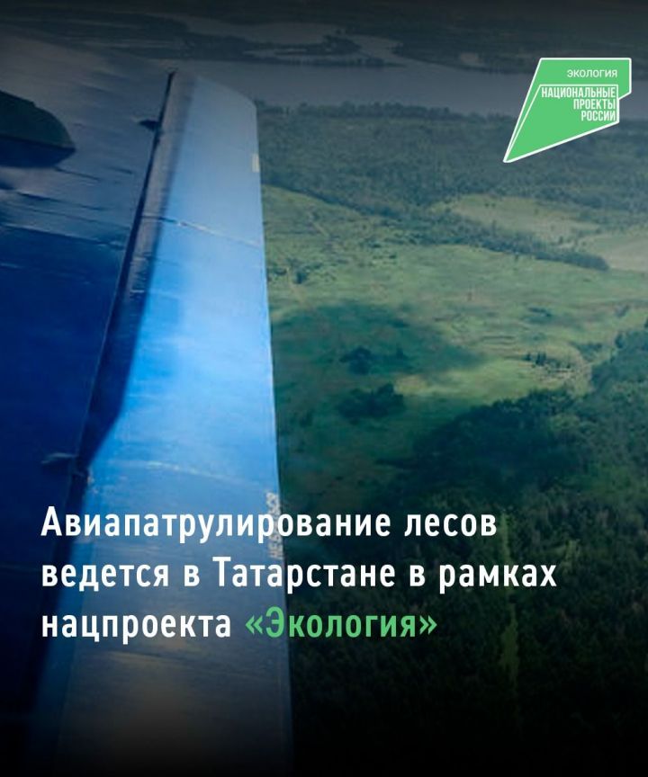 С начала пожароопасного сезона в лесах Татарстана провели 30 авиапатрулирований