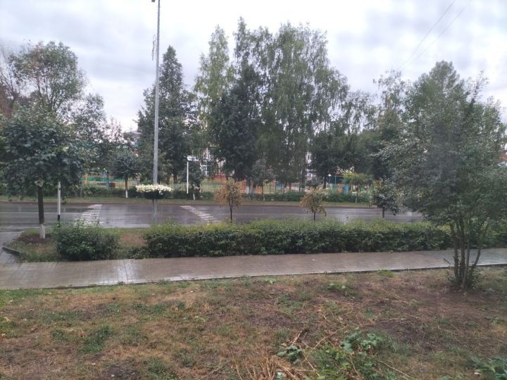 В воскресенье в Кукморском районе ожидается дождь и до +17 градусов