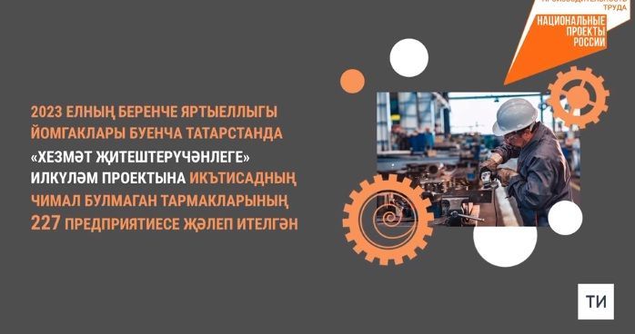 Илкүләм проектка икътисадның чимал булмаган тармакларының 227 предприятиесе җәлеп ителгән