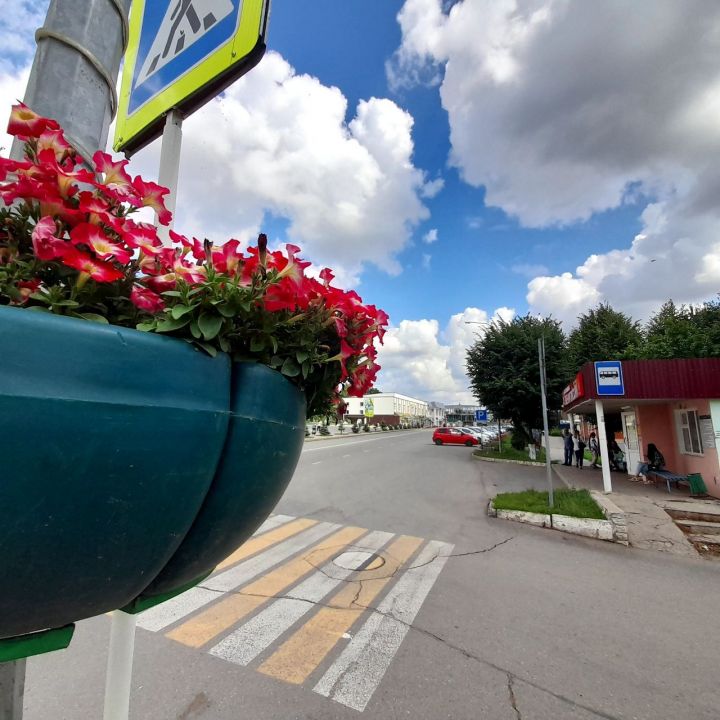 Жителей Кукморского района предупредили о сильном ветре