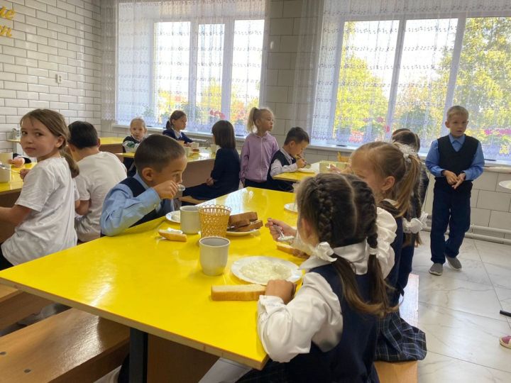 В четырех школах Кукморского района отремонтированы пищеблоки