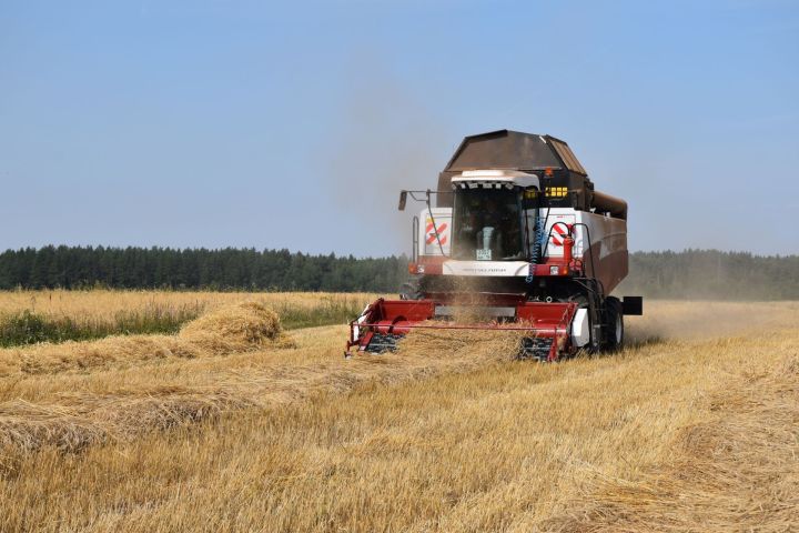 Аграрии Татарстана собрали более 3,6 млн тонн зерна