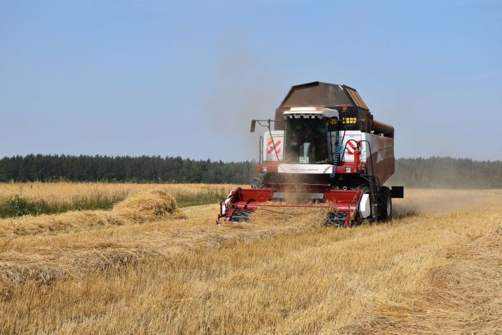 Аграрии Татарстана собрали более 3,6 млн тонн зерна