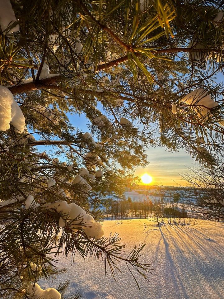 Гороскоп на 15 января: Раков ждут приятные перемены, Весам нужно быть готовыми к непредвиденным обстоятельствам