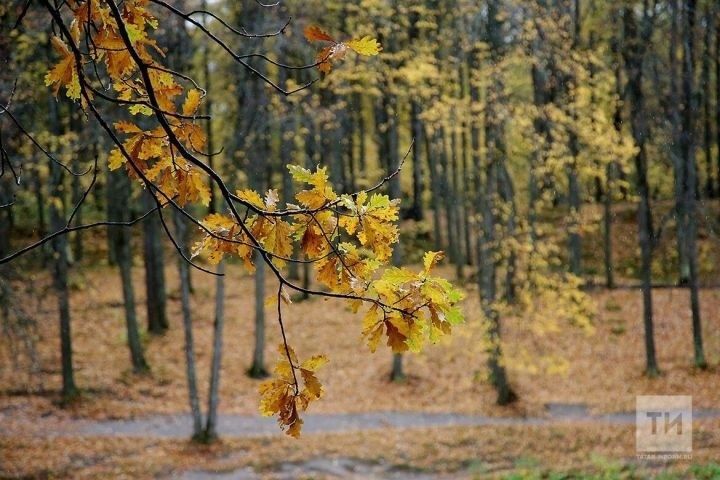 Гороскоп на 17 октября: Львам день подарит возможность блеснуть своими талантами, Козерогам не стоит забывать об отдыхе