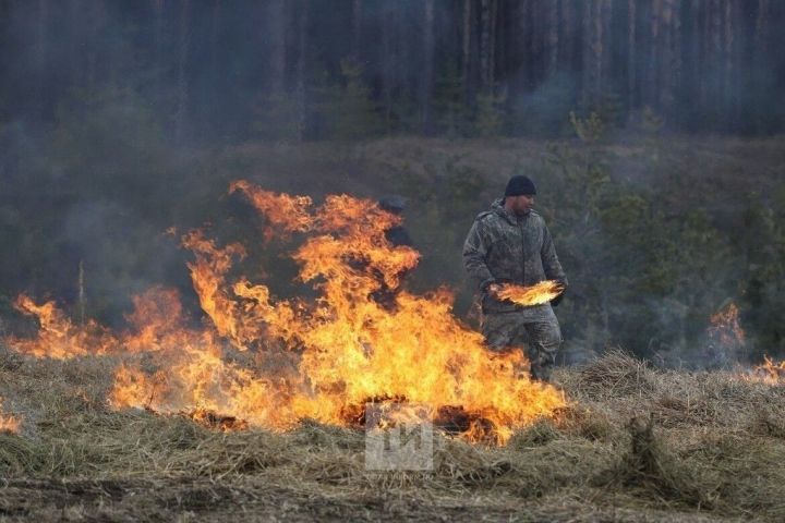 С сегодняшнего дня в лесах Республики Татарстан официально завершается пожароопасный сезон