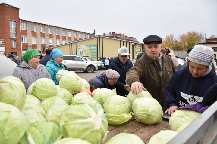 В Кукморе на территории РайПО прошла осенняя сельскохозяйственная ярмарка