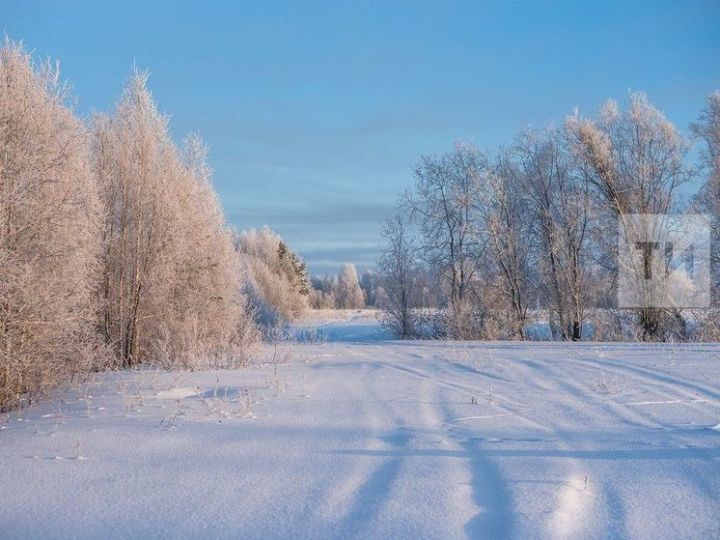 В Татарстане снегом покрыто до 95% полей за первые недели зимы