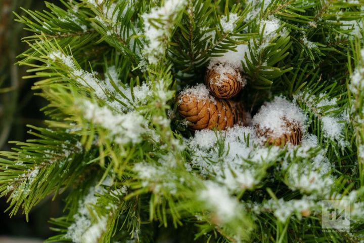 Гороскоп на 28 декабря 2024 года: Успех будет сопутствовать тем, кто готов проявить инициативу