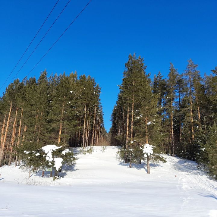 В Кукморском районе ожидается до 5 градусов мороза