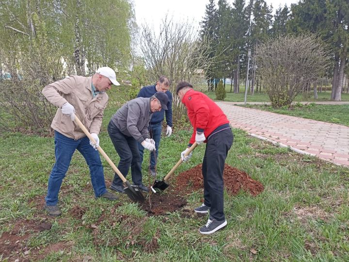 В Кукморе на территории Парка Победы посадили саженцы фруктовых деревьев