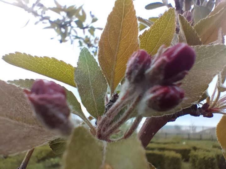 Гороскоп на 5 мая 2024 года: Звезды рекомендуют воздержаться от чрезмерной активности и пустых разговоров