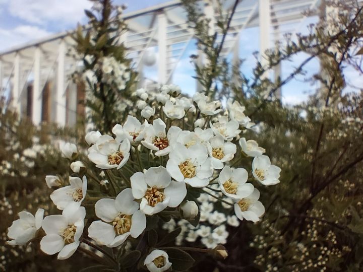 В Кукморском районе ожидается дождь, сильный ветер и до +10 градусов тепла