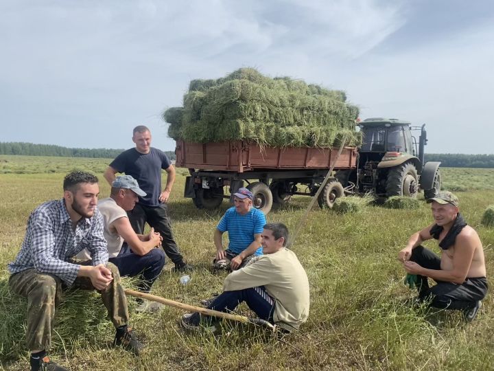 Авылларда печән өсте: «Восток» җәмгыяте пай җирләре һәм хезмәт көннәре өчен халыкка печән биргән