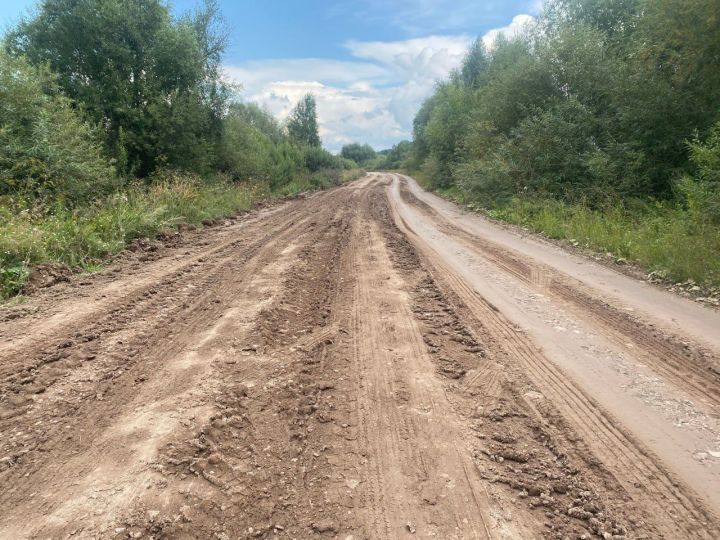 Кукмаралылар Олыяз белән Зур Сәрдек җирлеге арасындагы юлның начарлыгыннан зарланалар