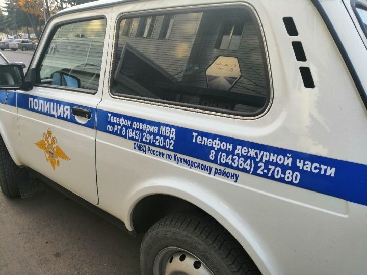 В полиции Кукмора прокомментировали информацию о нападении на девочку