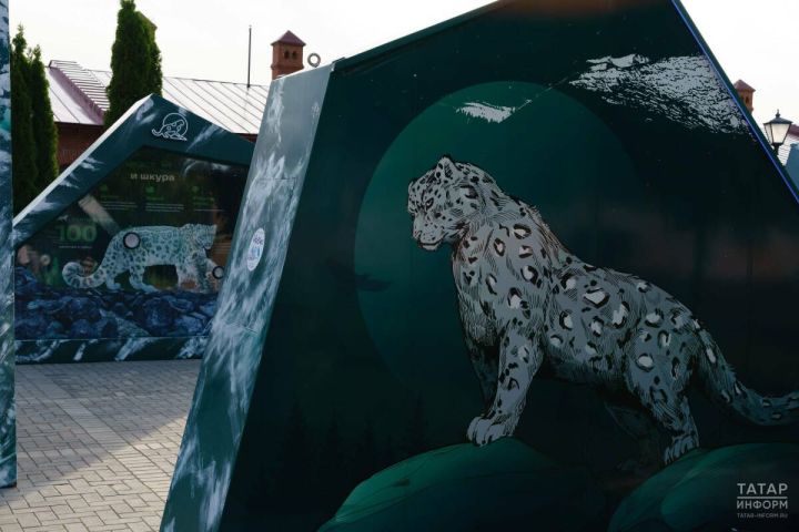 В Татарстане стартует творческий конкурс для школьников «Снежный барс»