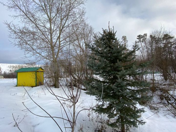 В Кукморском районе ожидается туман, мокрый снег и до +3 градусов