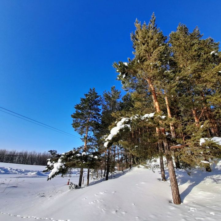В Кукморском районе ожидаются туман, небольшой снег и до -17 градусов