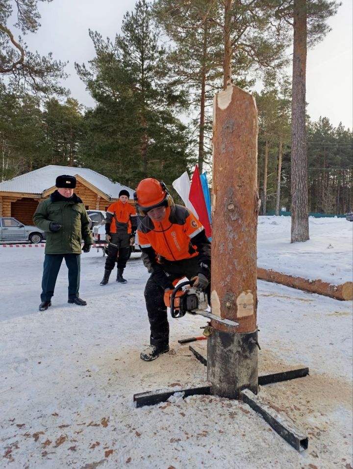 В Кукморском районе прошли соревнования по компетенции «Вальщик леса» чемпионата «Профессионалы-2025»