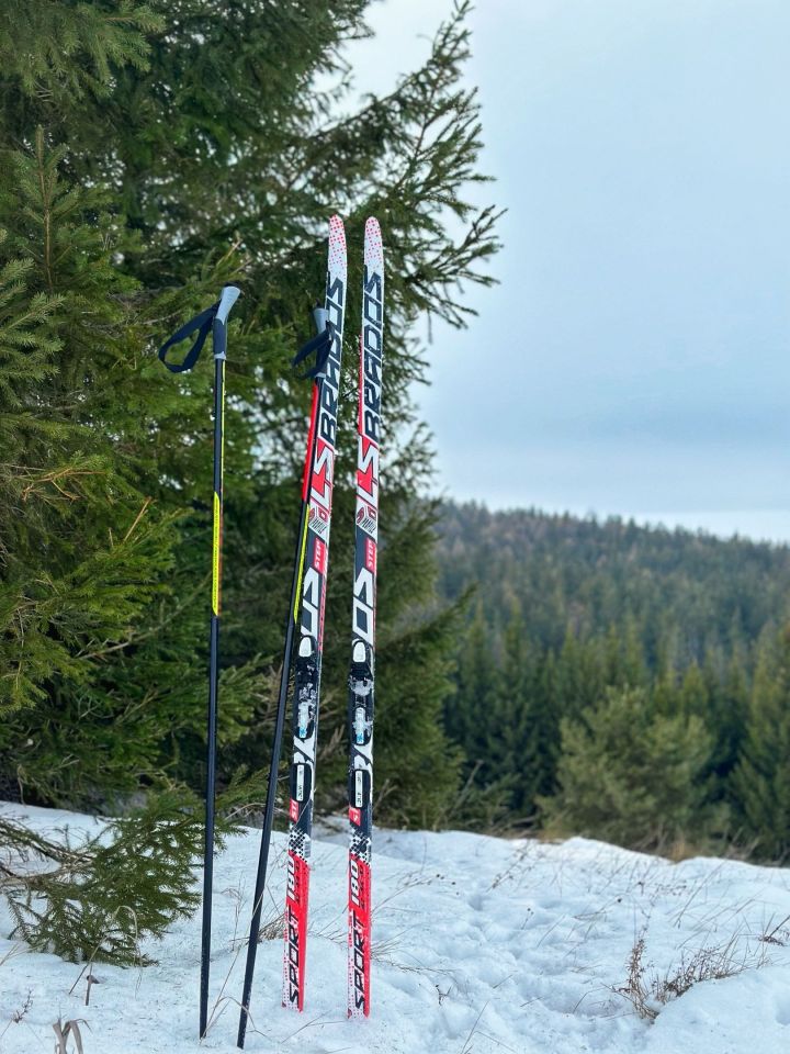 Гороскоп на 16 февраля: Лев раздаёт советы, а Раку не хватает разговора по душам