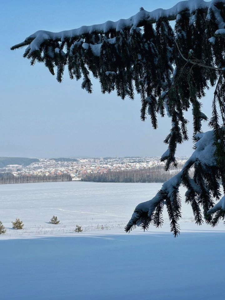 Гороскоп на 17 февраля: Овны энергичны, Львы уверенны