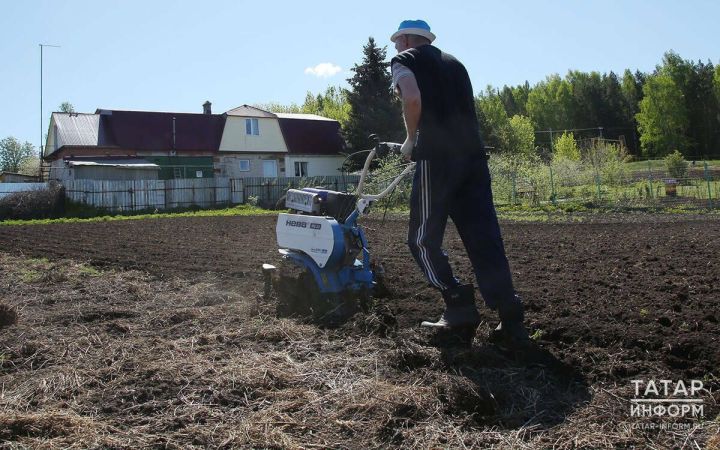 В Татарстане владельцы заброшенных участков должны привести свою землю в порядок за 3 года
