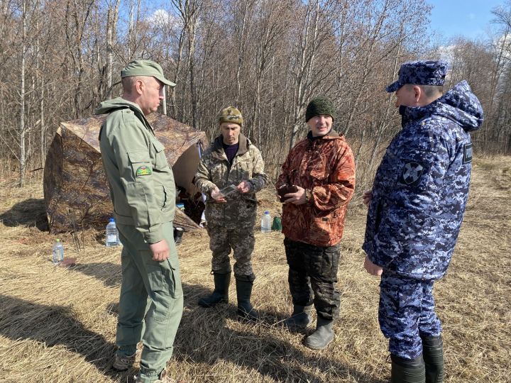 Дичь под защитой: как контролируют весеннюю охоту в Кукморском районе