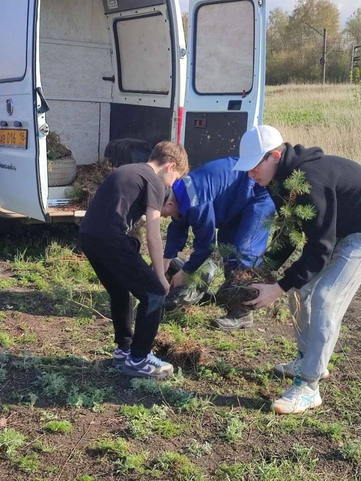 Деревья памяти: Спортивная школа «Зилант» присоединилась к акции «Посади дерево Победы»
