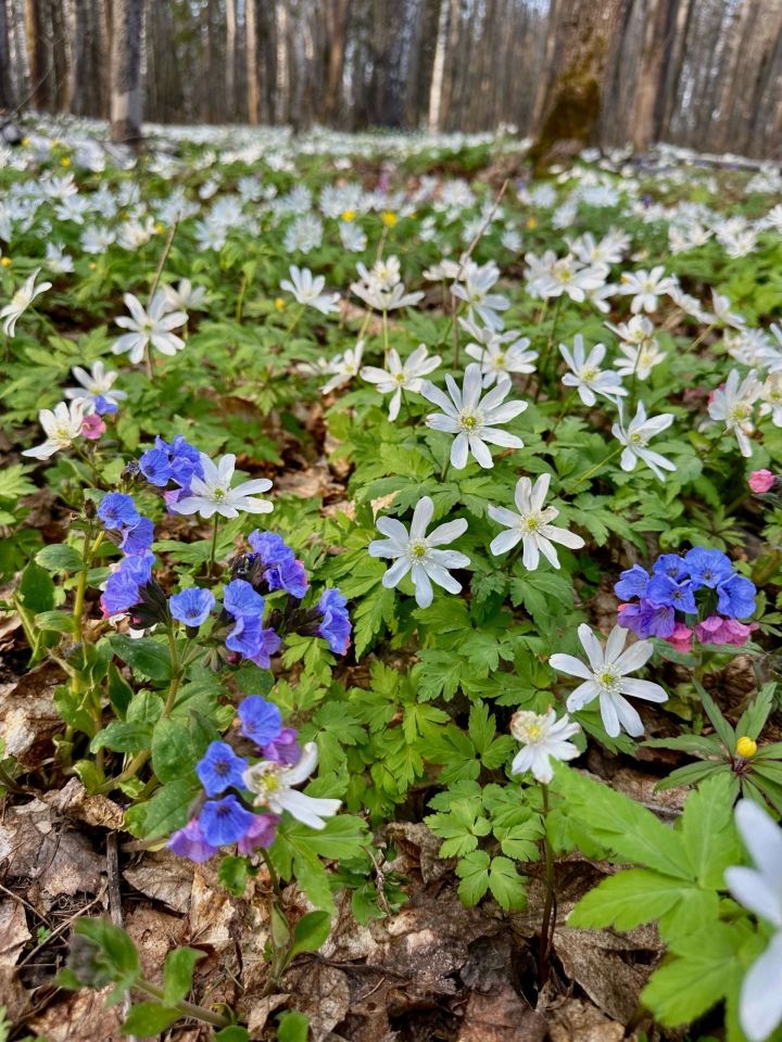 Гороскоп на 2 мая 2025 года:Звезды советуют  сосредоточиться на делах