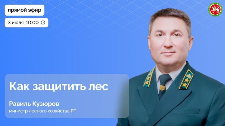 Равиль Кузюров в прямом эфире расскажет о защите лесов в Татарстане
