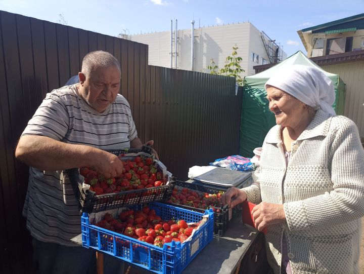 Ягодная пора: Кукморяне собирают урожай