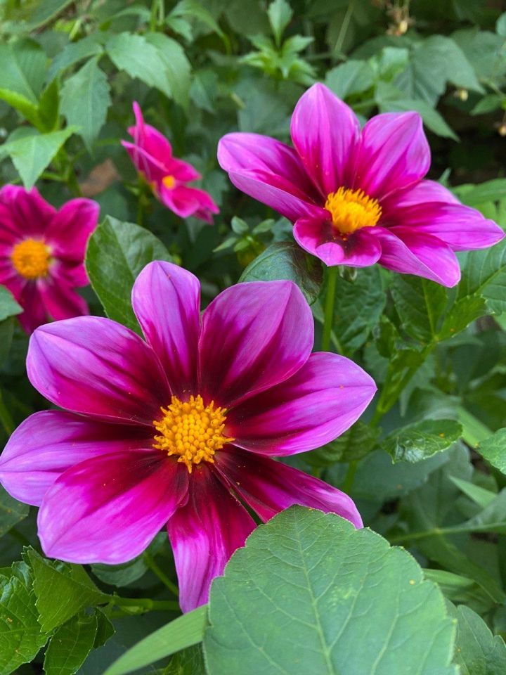 Гороскоп на 14 сентября: Овнам стоит взглянуть в будущее, Львам важно суметь проявить себя